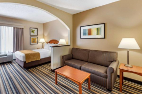 Отель Comfort Suites Chesapeake - Norfolk  Чесапик